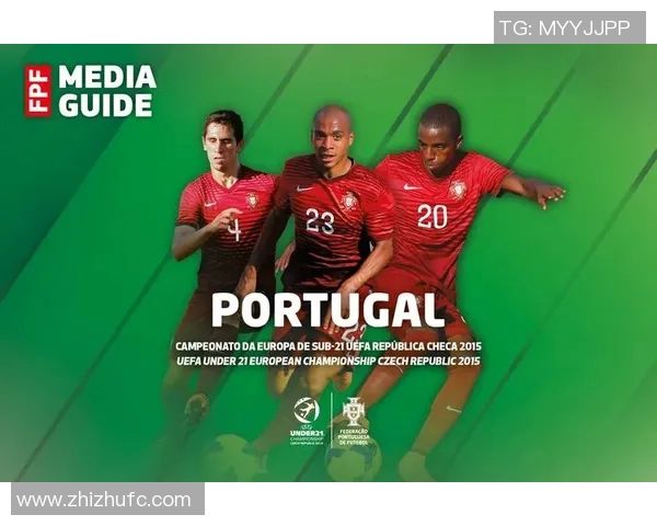 葡萄牙与马其顿的回收策略对比及其环境影响分析